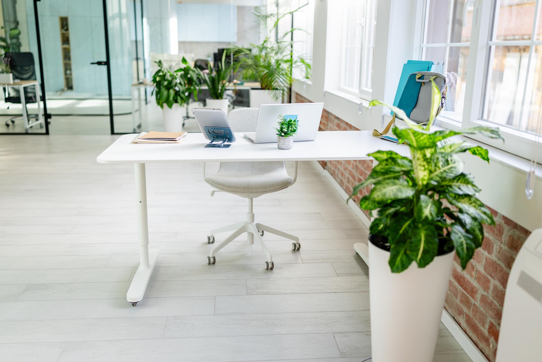 IT Consulting & Digital Transformation